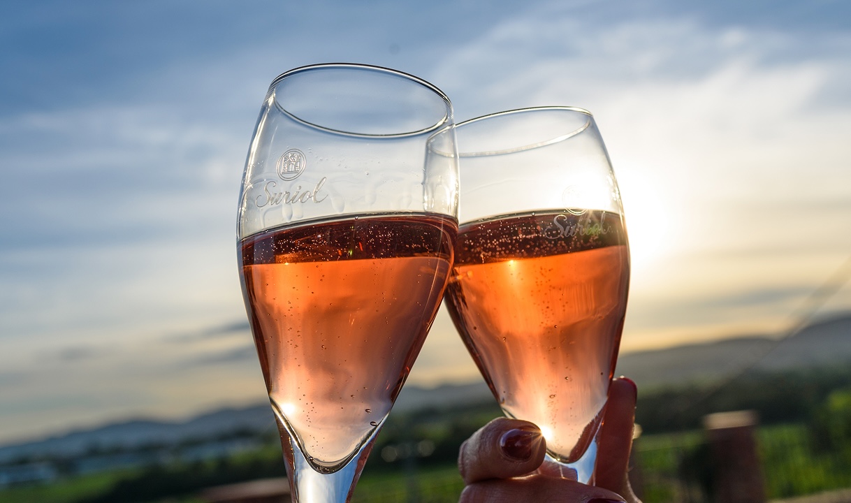 Tast de vins i escumosos del Penedès