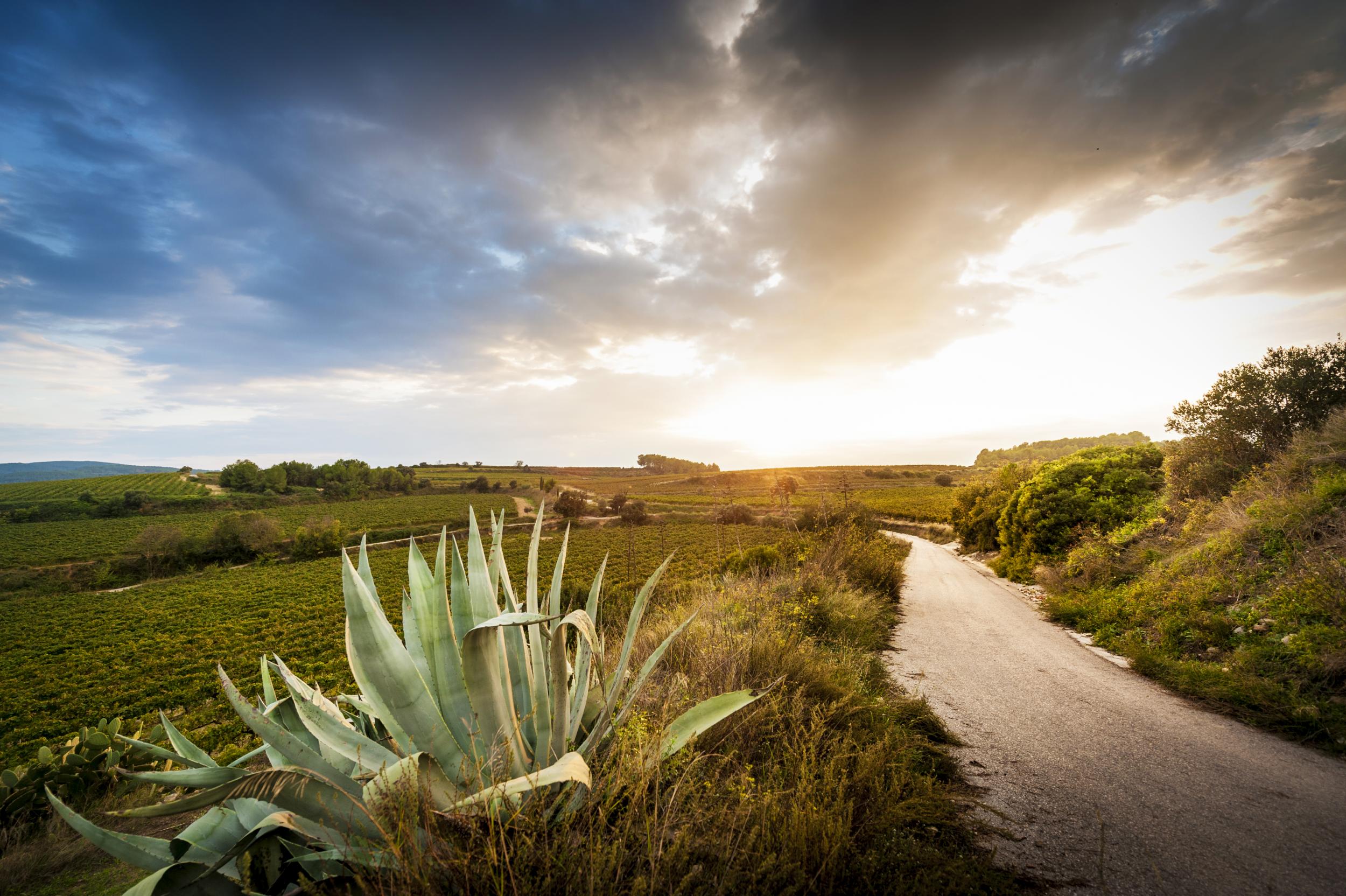 Natura i paisatges
