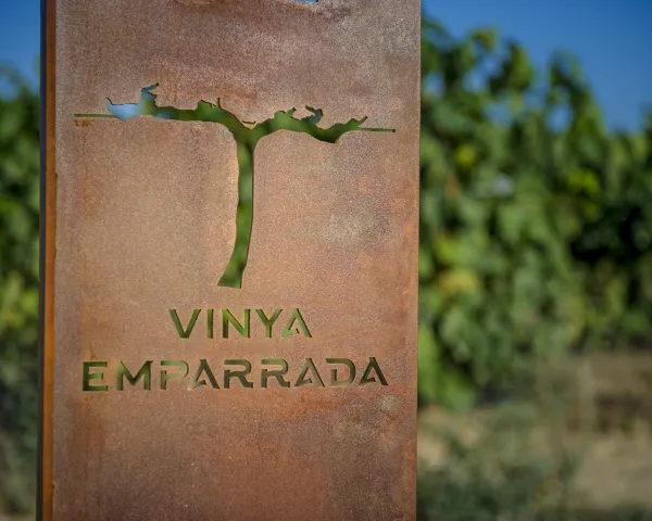 Camí del Vi