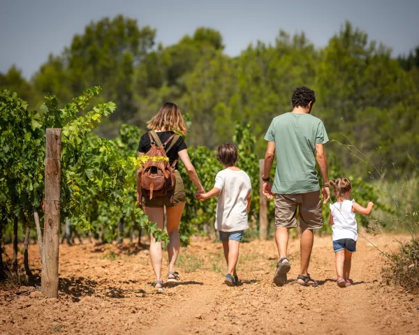 Camins del Cava
