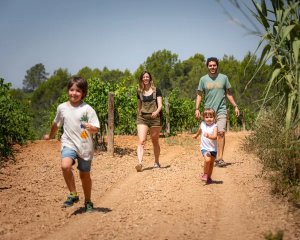 Camins del Cava